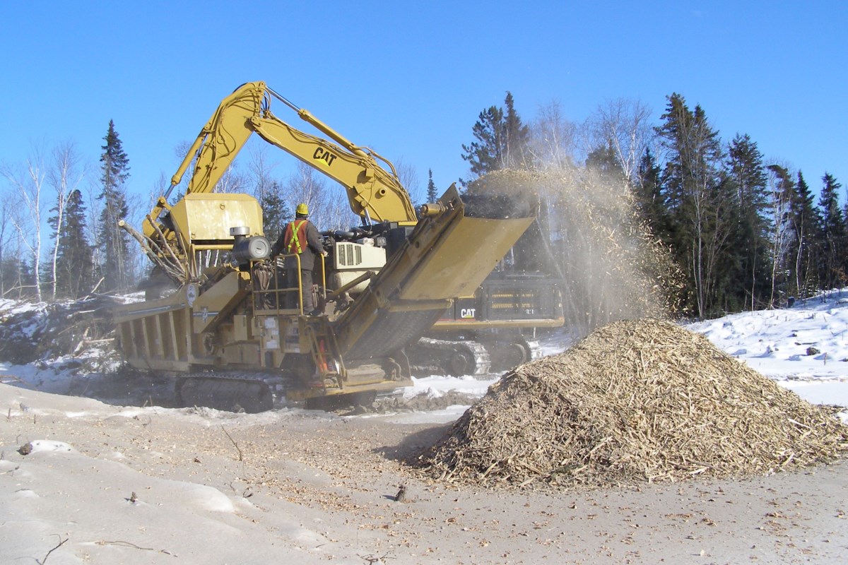 L'Organisation de recherche forestière nomme un nouvel avance