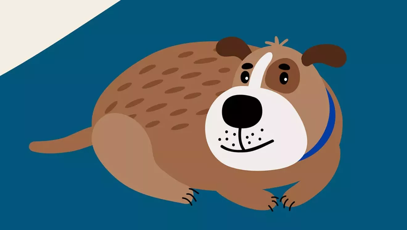 Demandez au révérend: je sors avec un homme dont le chien dort au lit avec nous - dégoûtant!