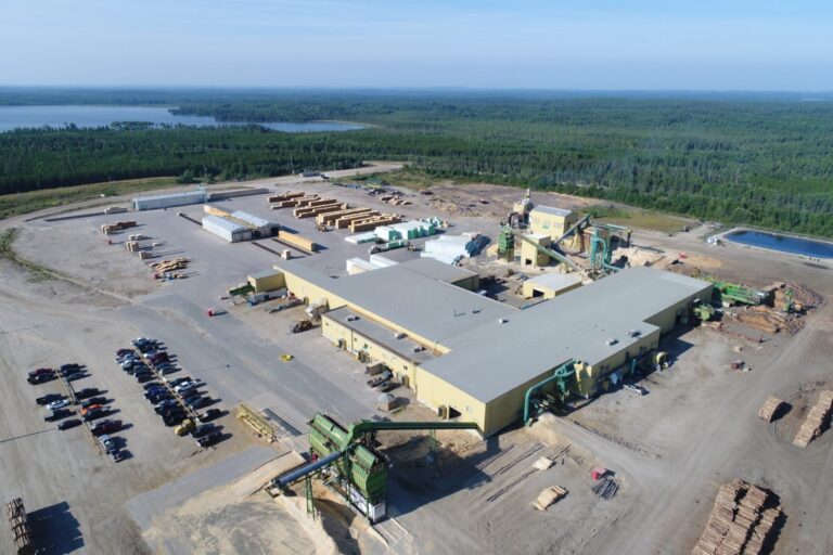 De fortes scieries régionales, d'autres opérations forestières, peuvent résister à la «guerre économique», dit le leader travailliste