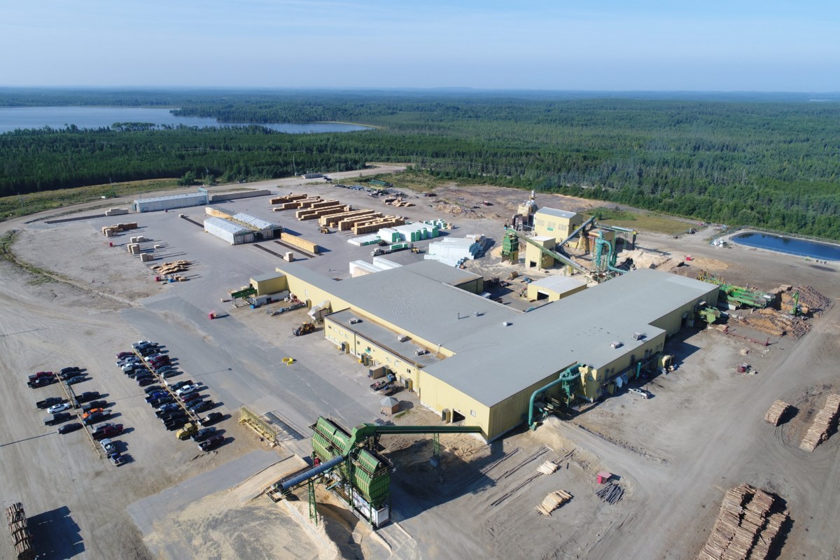 De fortes scieries régionales, d'autres opérations forestières, peuvent résister à la «guerre économique», dit le leader travailliste