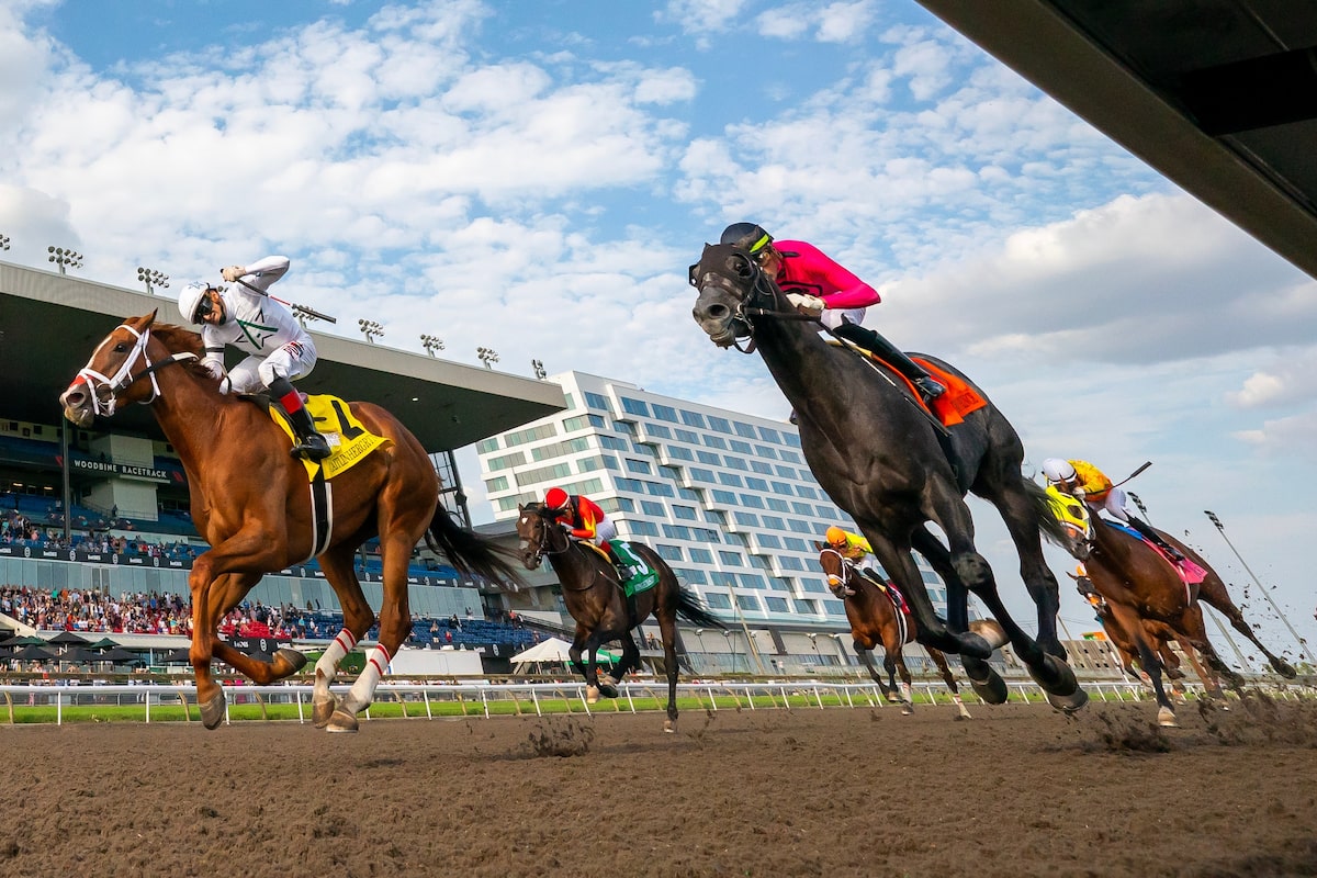 Les meilleurs éleveurs canadiens affirment que les tarifs américains pourraient paralyser l'industrie des courses de chevaux