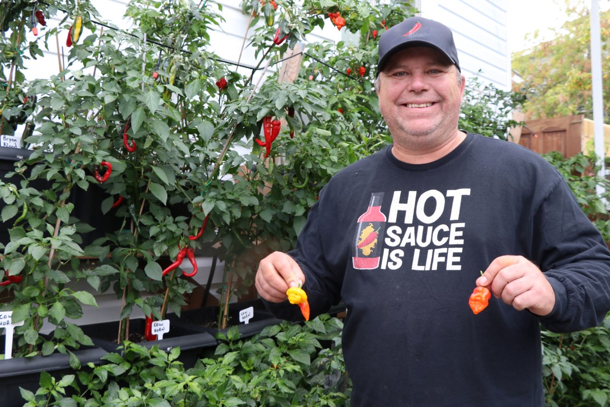 Producteur de Timmins savourant une séquence chaude avec des sauces au poivre populaire