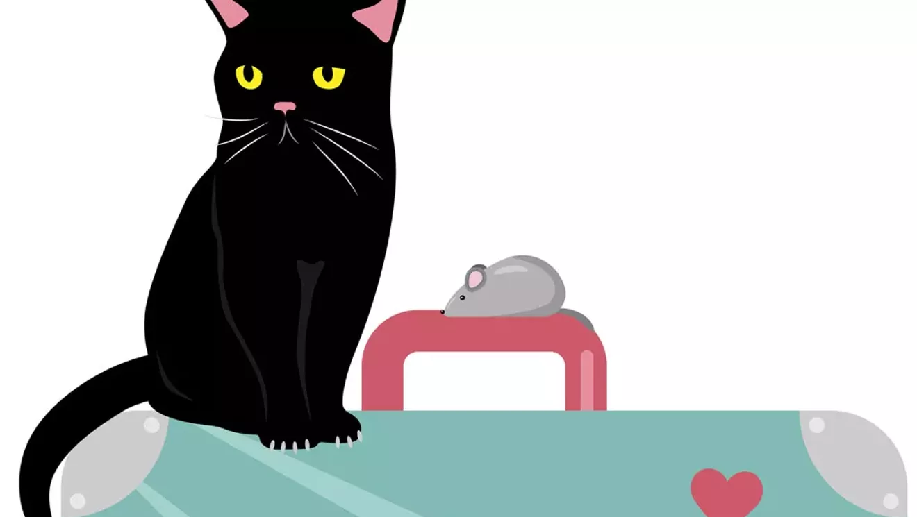 Demandez au Rev: comment mon partenaire et moi gardons-nous la garde des chats dans notre rupture?