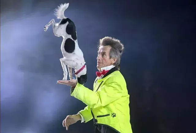 Johnny Peers & The Muttville Comix - Gracieuseté de John F. Tremblay