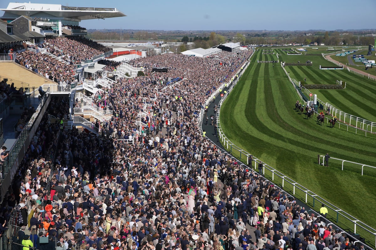 Le grand coureur national Celebre d'Allen meurt après s'être effondré pendant la course