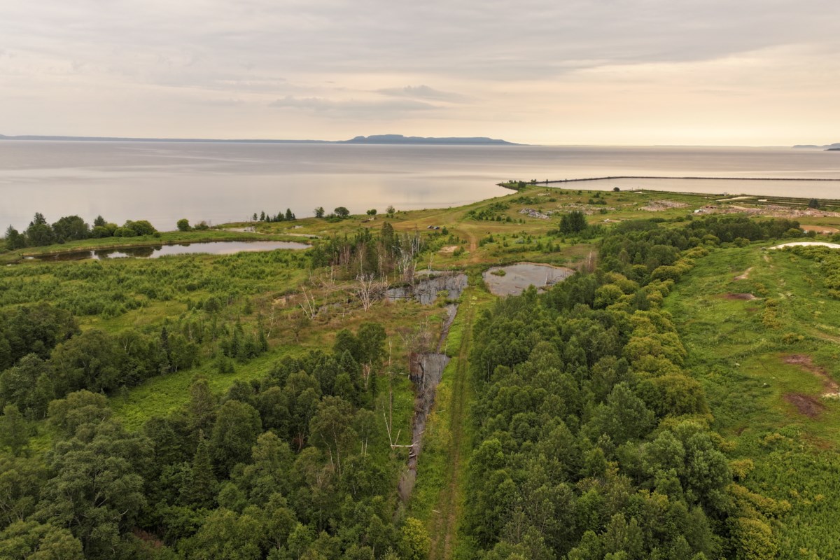 Travail de restauration de l'habitat en magasin sur Superior Fine Papers Site
