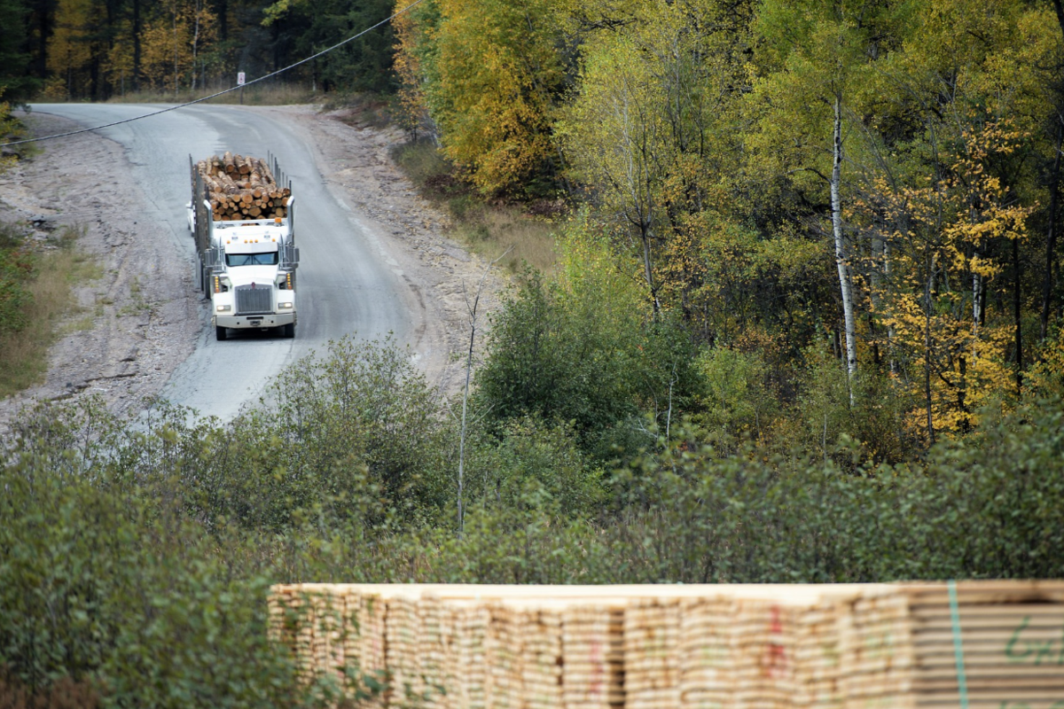 Washington se déroule pour faire de la randonnée des tarifs canadiens du bois de bois souple