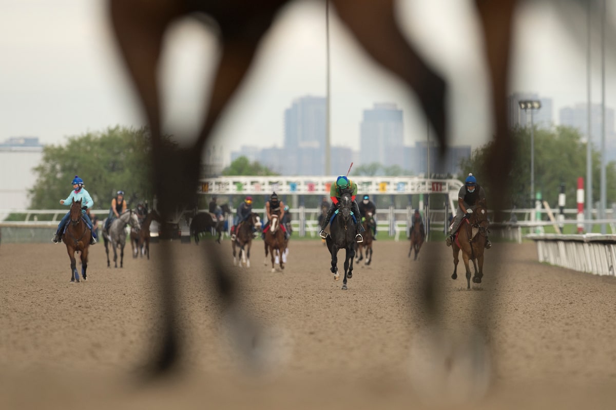 Woodbine Racetrack a condamné à une amende de 200 000 $ pour une série de blessures de chevaux de course 2024