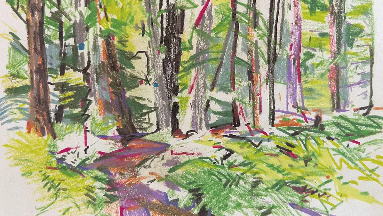 Les 'signaux' à K. Grant Fine Art est son dernier spectacle à Vergennes