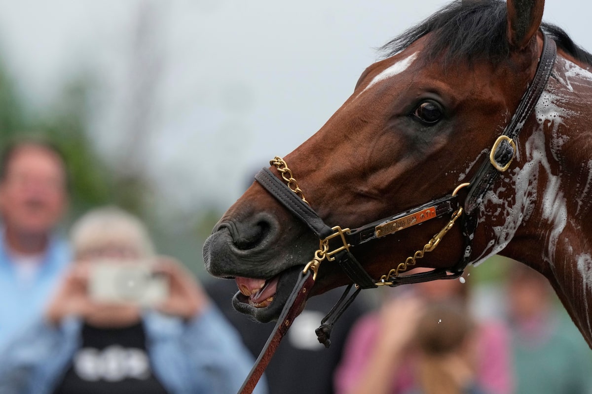 Le 151e Kentucky Derby pourrait être un plaisir de Mudder avec la pluie dans la prévision