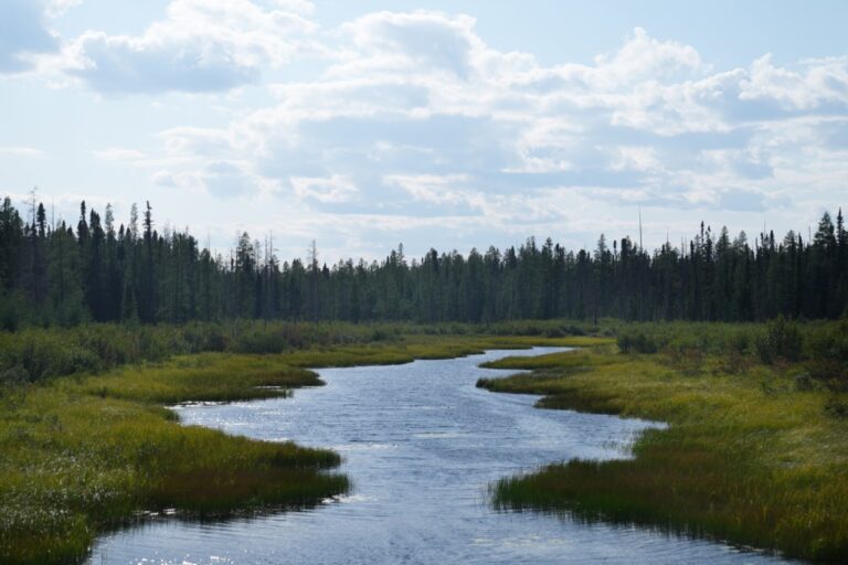 Objections to province's ‘special economic zones’ bill pour in ahead of committee review