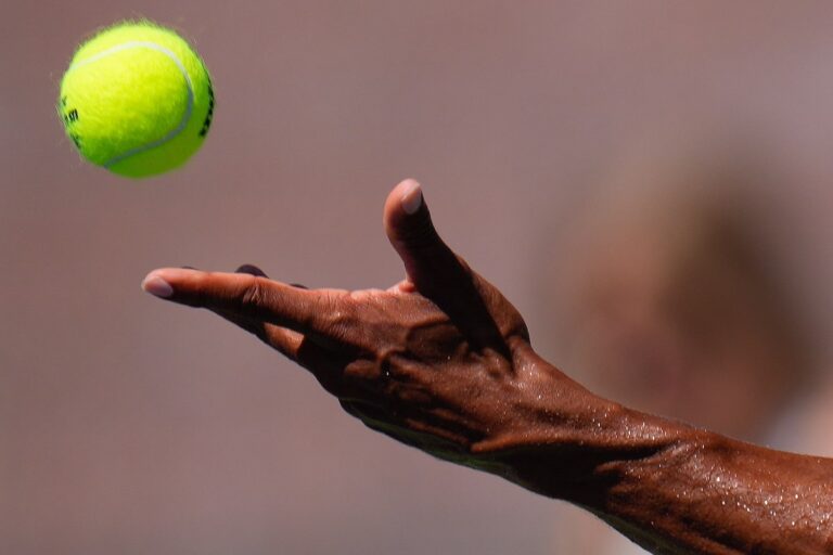 Pro Tennis Tours déposent une requête en rejet de la poursuite antitrust de l'association des joueurs de Djokovic