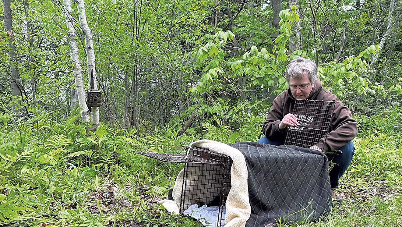 Pet Sleuth Sue Wear cherche - et trouve - chiens et chats perdus