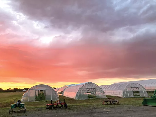 Conversation de dépistage et de cuisine de la nourriture et de la nourriture 