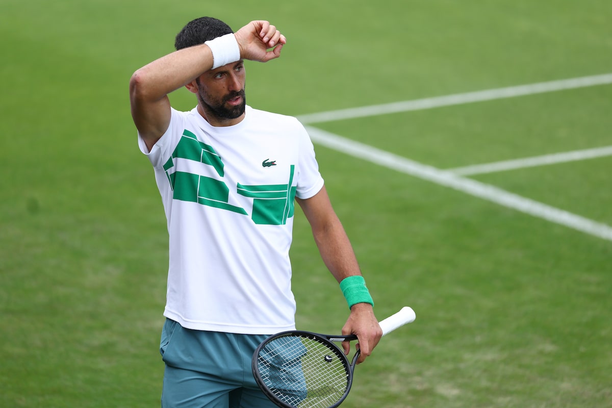 Gagner la foule de Wimbledon peut être le dernier Saint Graal de Djokovic