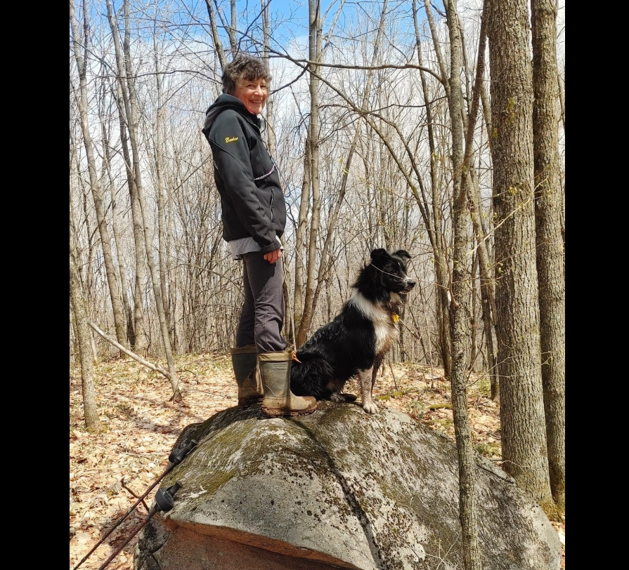 L'Association de l'Ontario Woodlot annonce que Colleen Drew-Baehre en tant que nouveau président