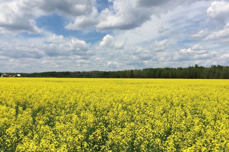 L'agriculture de Temmiskaming renforcé par le financement provincial