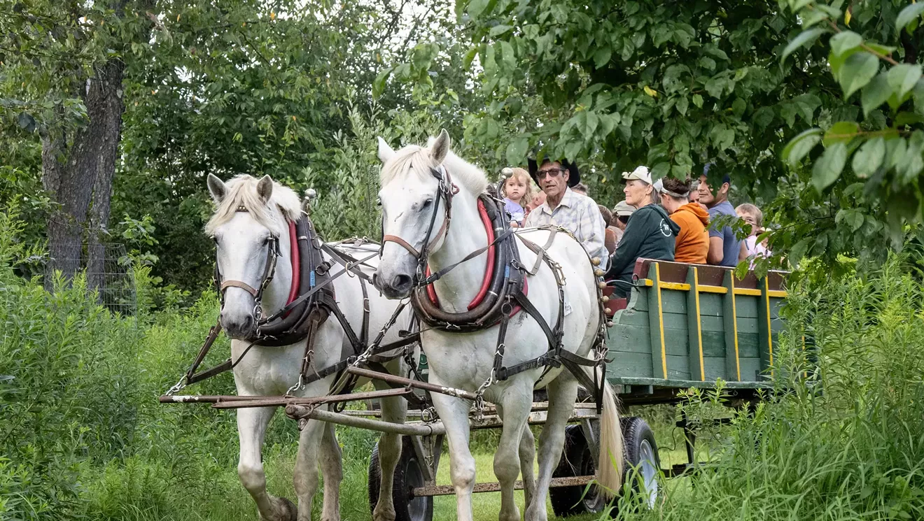 Magnificent 7: doit voir, doit faire, 30 juillet-août 6
