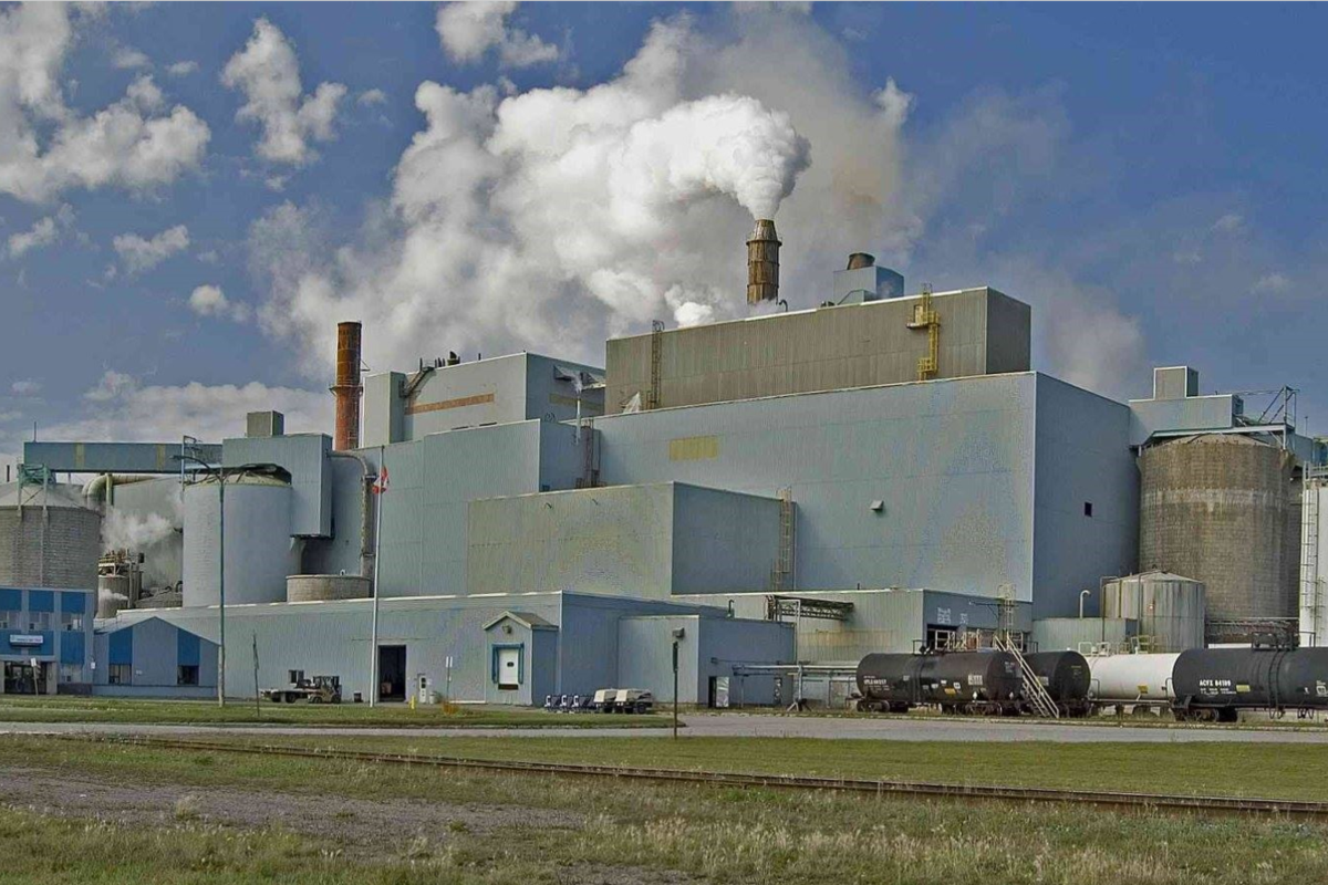Le propriétaire de l'usine de pâte à pâte condamné à une amende pour les décharges d'effluents et d'émission d'air