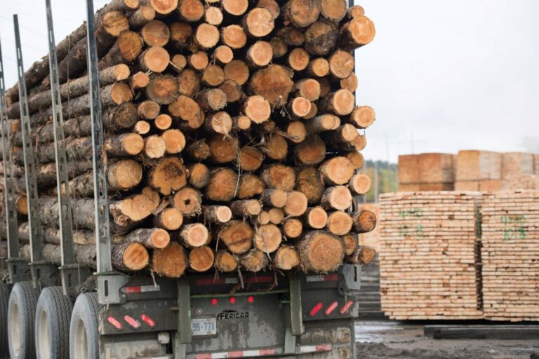 Les petits exportateurs canadiens couvrent le coût des tarifs américains