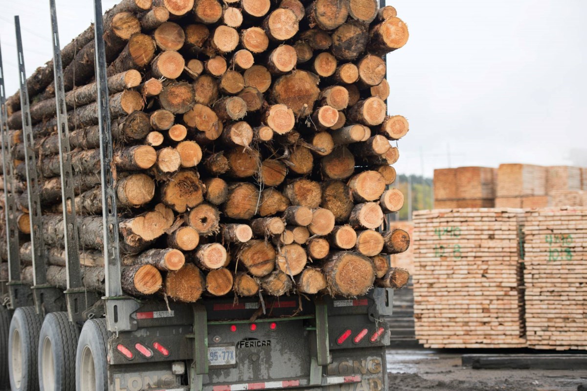 Les petits exportateurs canadiens couvrent le coût des tarifs américains