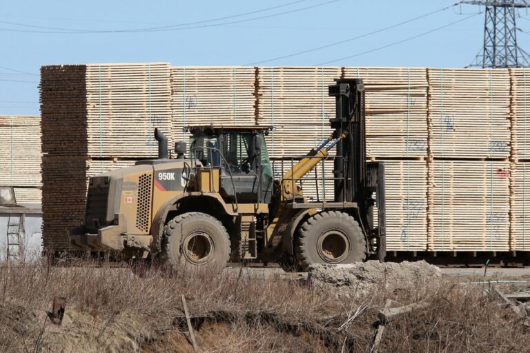 Les tarifs du bois de bois tendre représentent une «menace importante» pour l'économie de la région: Noma