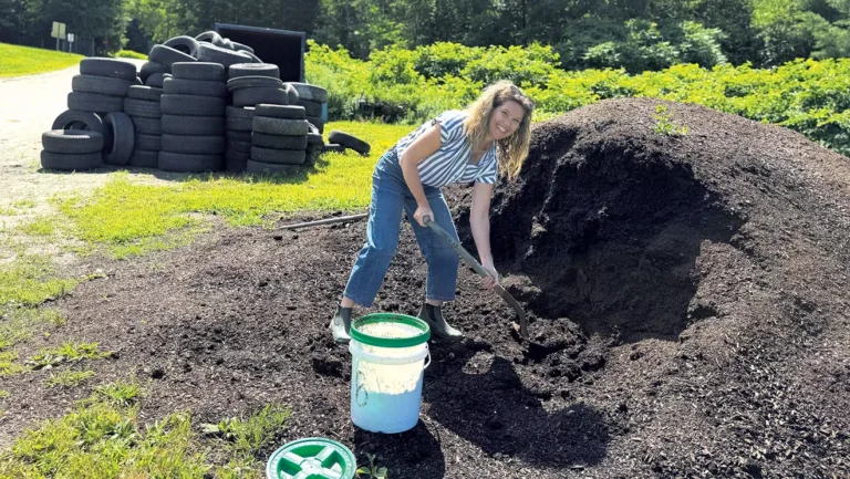 Q&A: La station de transfert Johnson, alias The Town Dump, est un centre social