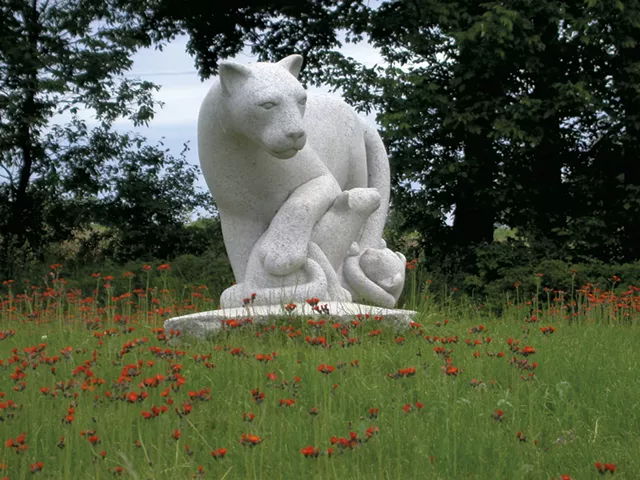 "Panther Family" - courtoisie