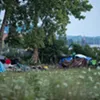 Un camping dans la réserve urbaine