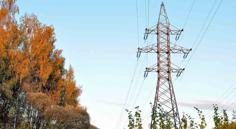 Hydro One Strikes s'occupe de plus de propriétaires le long de la ligne de transmission de Waasigan