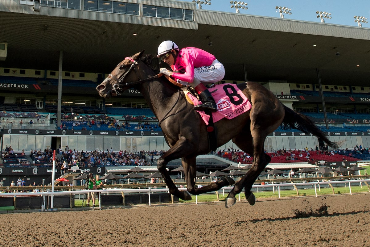 Jockeys David, Pietro Moran pour courir les uns contre les autres dans une assiette de roi de 1 million