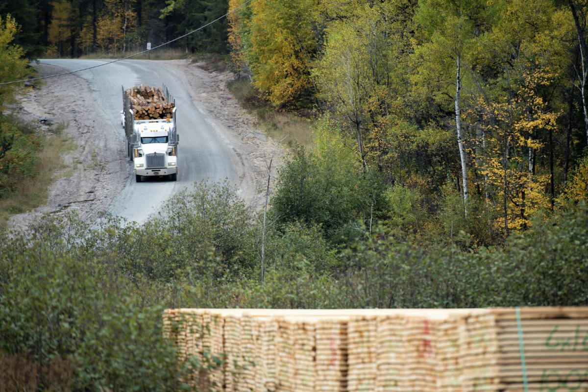 L'accord sur le bois de bois souple maintiendra le secteur forestier debout, disons l'industrie, les groupes municipaux