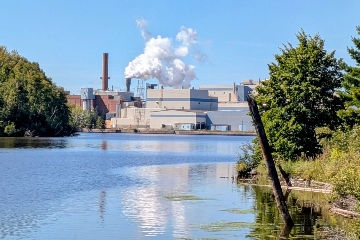 L'usine de pâte de pouce Thunder Bay a ordonné d'arrêter la décharge dans la rivière Kam