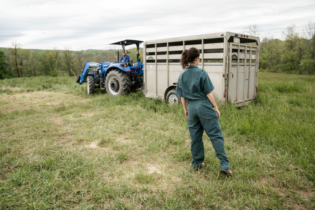 Recherche en cours pour utiliser l'IA pour aider les agriculteurs du nord-ouest de l'Ontario