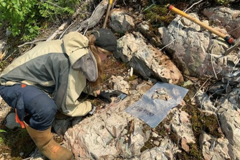 Des fortunes mitigées pour les explorateurs miniers dans un contexte de prix record de l’or