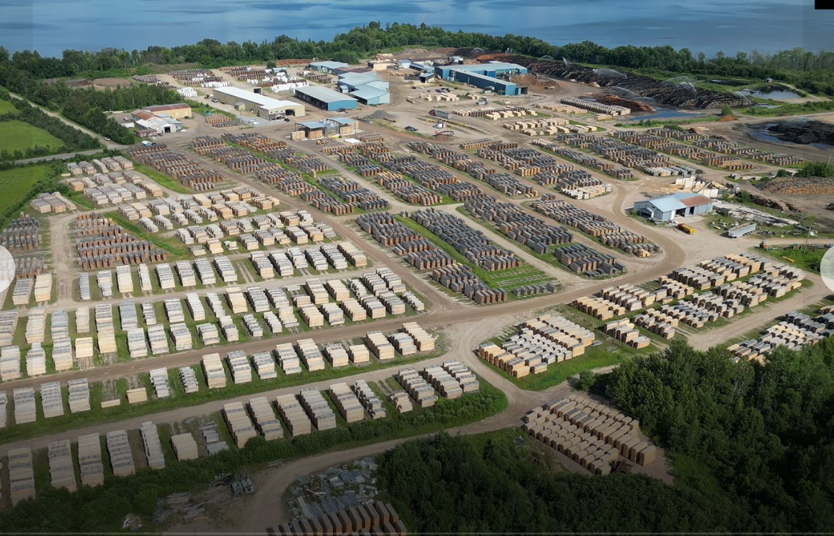 Ottawa doit donner la priorité à la foresterie dans les négociations commerciales, déclare un groupe industriel