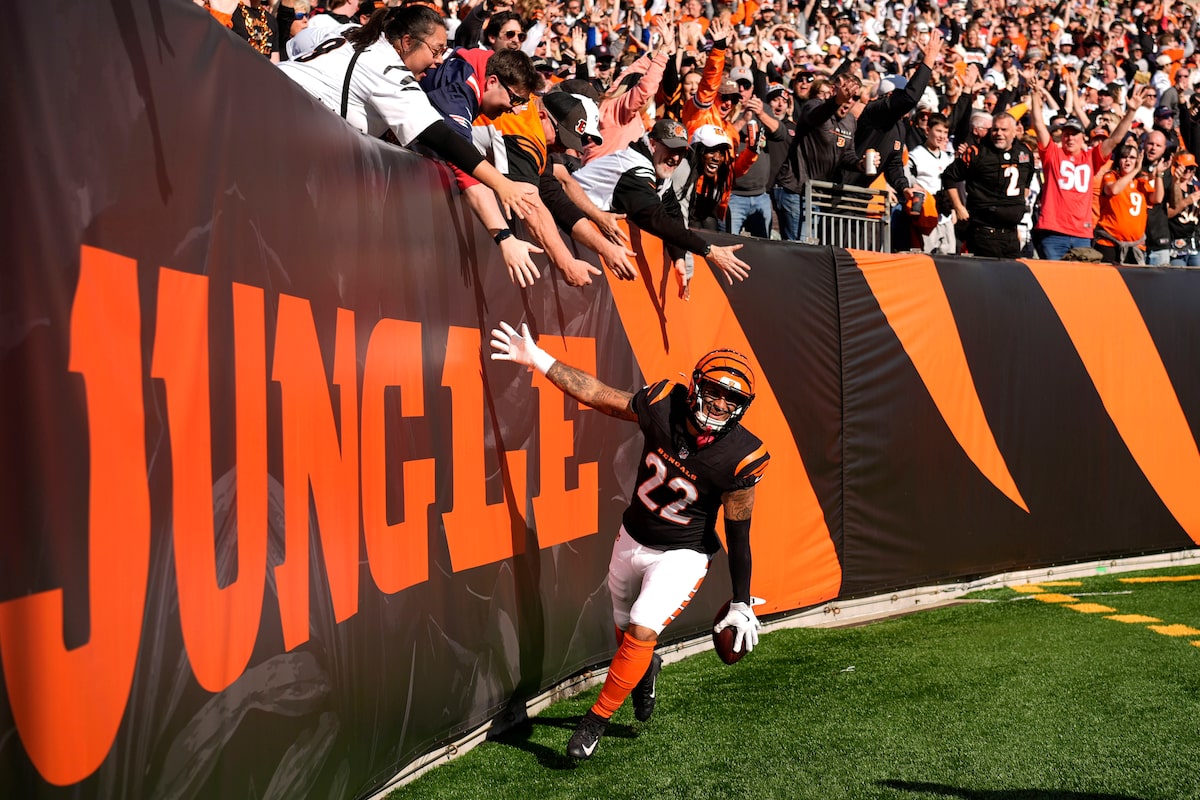 Les tacles de Stone, un sommet en carrière, ne suffisent pas à faire passer les Bengals contre les Patriots
