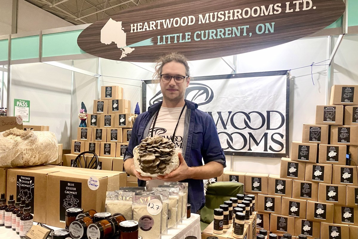Pourquoi Heartwood Mushrooms change la façon dont les gens perçoivent les champignons