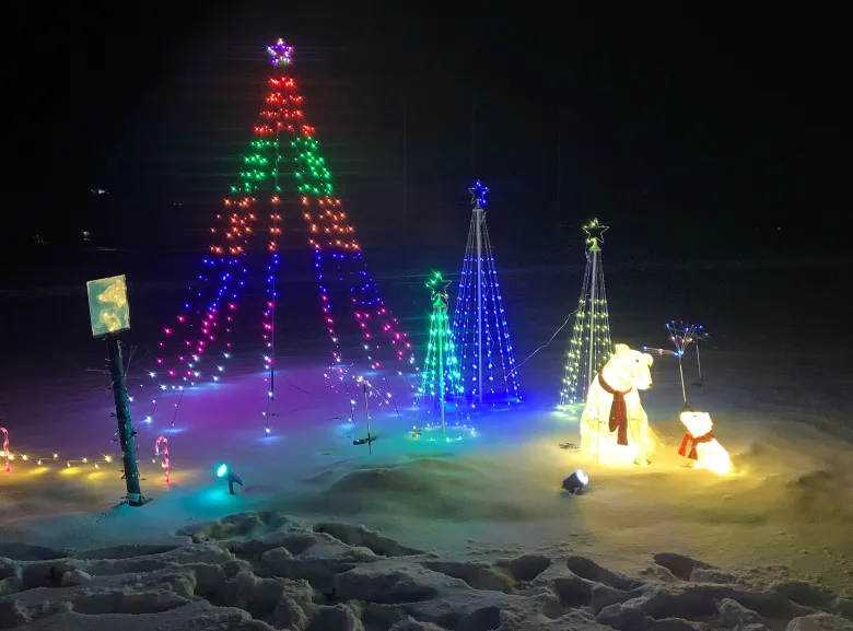 Visite des lumières magiques de Beary