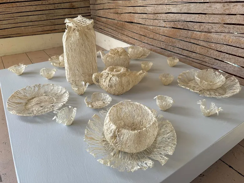 «À travers les océans» de Veronica Y Pham