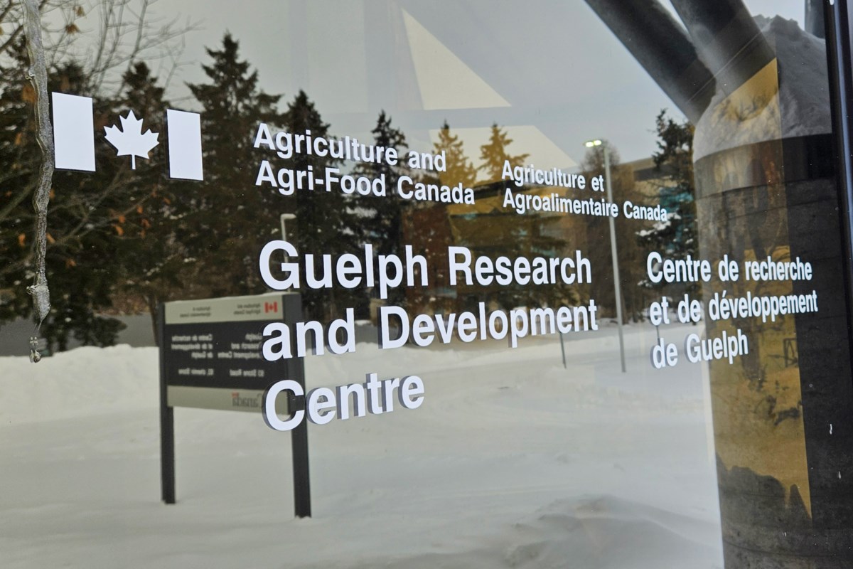 La fermeture des installations de Guelph fera reculer la recherche alimentaire de plusieurs décennies, selon un syndicat