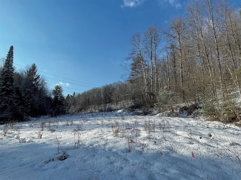 La proposition de Scott visant à faciliter la protection des zones humides se heurte à une zone boueuse