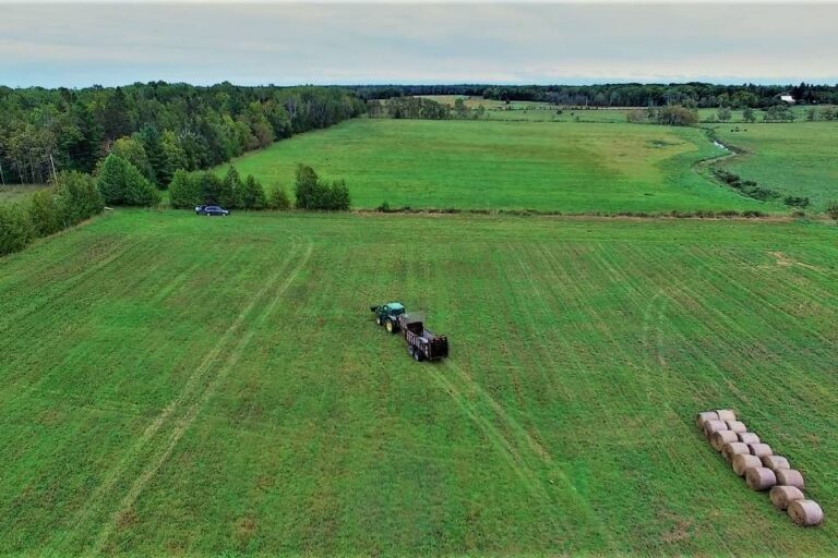 Le Fonds d'innovation agroalimentaire est désormais ouvert aux candidats