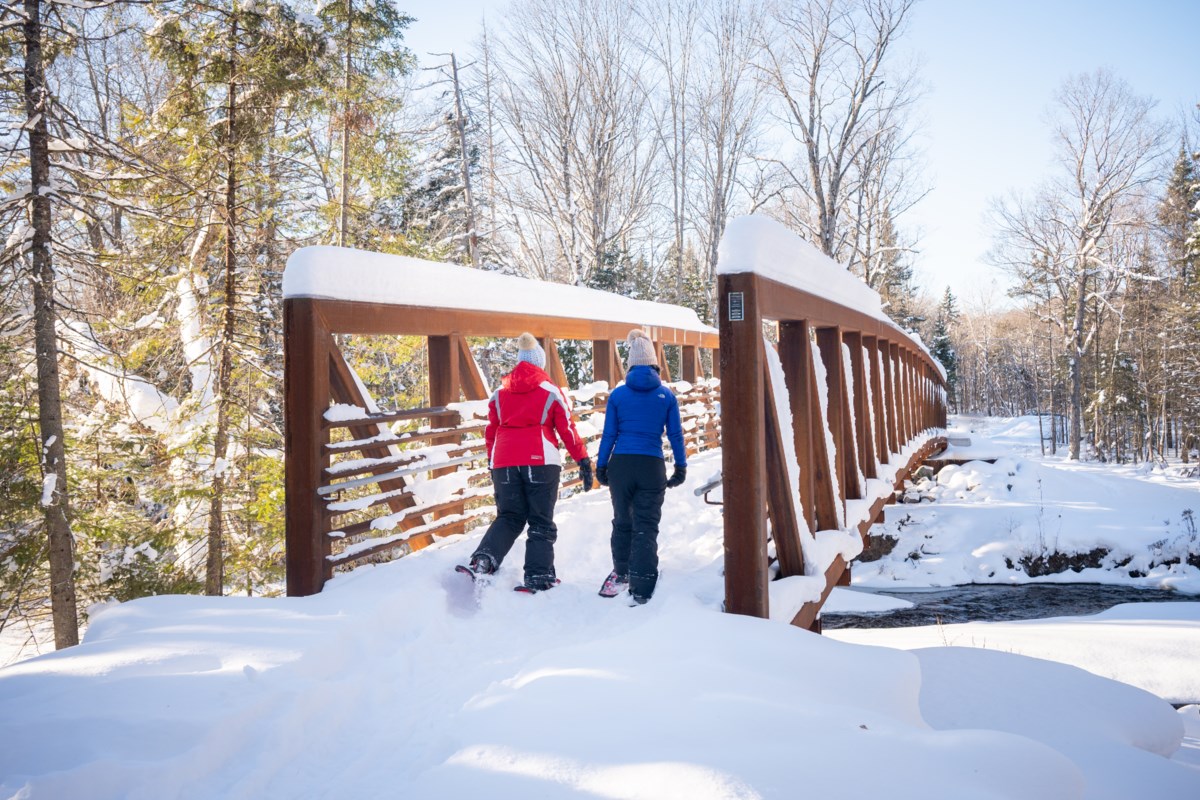 Le secret hivernal le mieux gardé de l'Ontario? Pourquoi davantage de personnes fuient ici en 2026