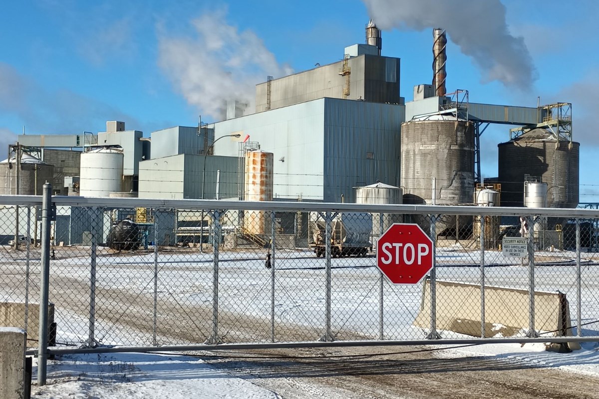 Une « entreprise réputée » a exprimé son intérêt pour l'usine de Terrace Bay