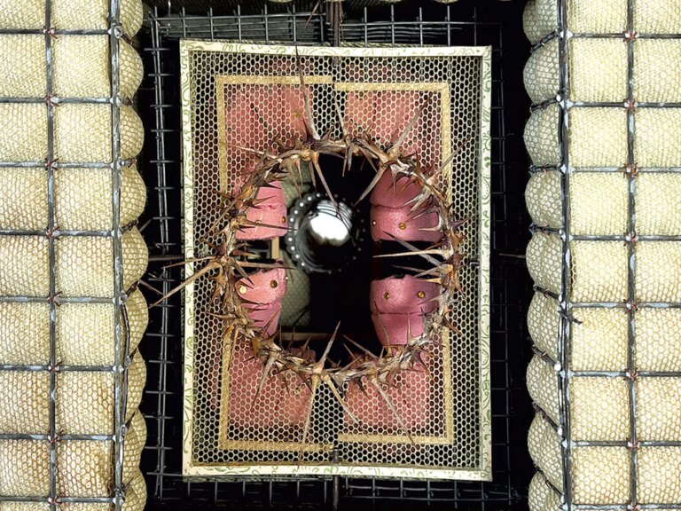 L'artiste Dan Waller transforme les déchets en objets précieux à Kishka