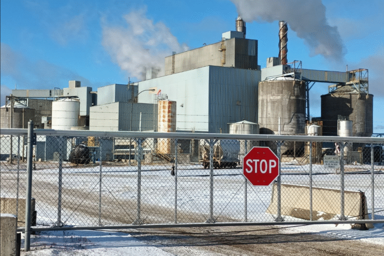 AVIS : Le Canada a bâti son industrie forestière pour un seul client. Le Nord de l’Ontario connaît le coût — et la voie à suivre