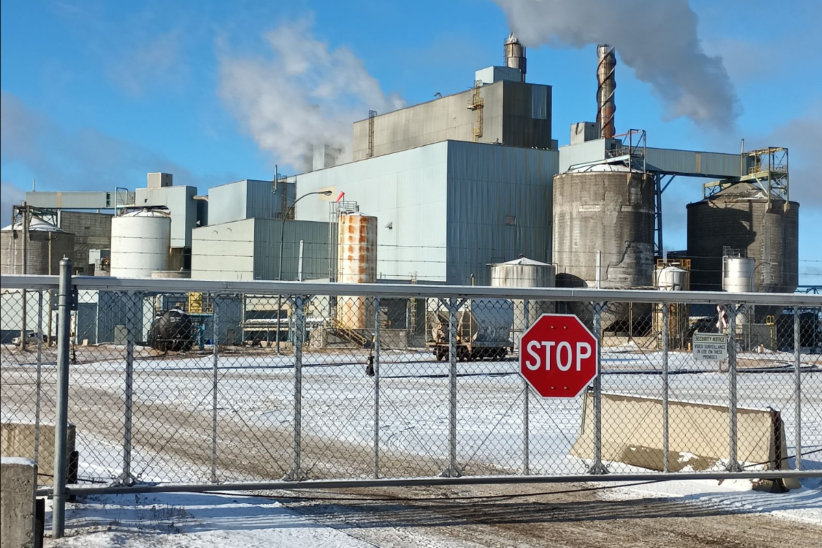 AVIS : Le Canada a bâti son industrie forestière pour un seul client. Le Nord de l’Ontario connaît le coût — et la voie à suivre