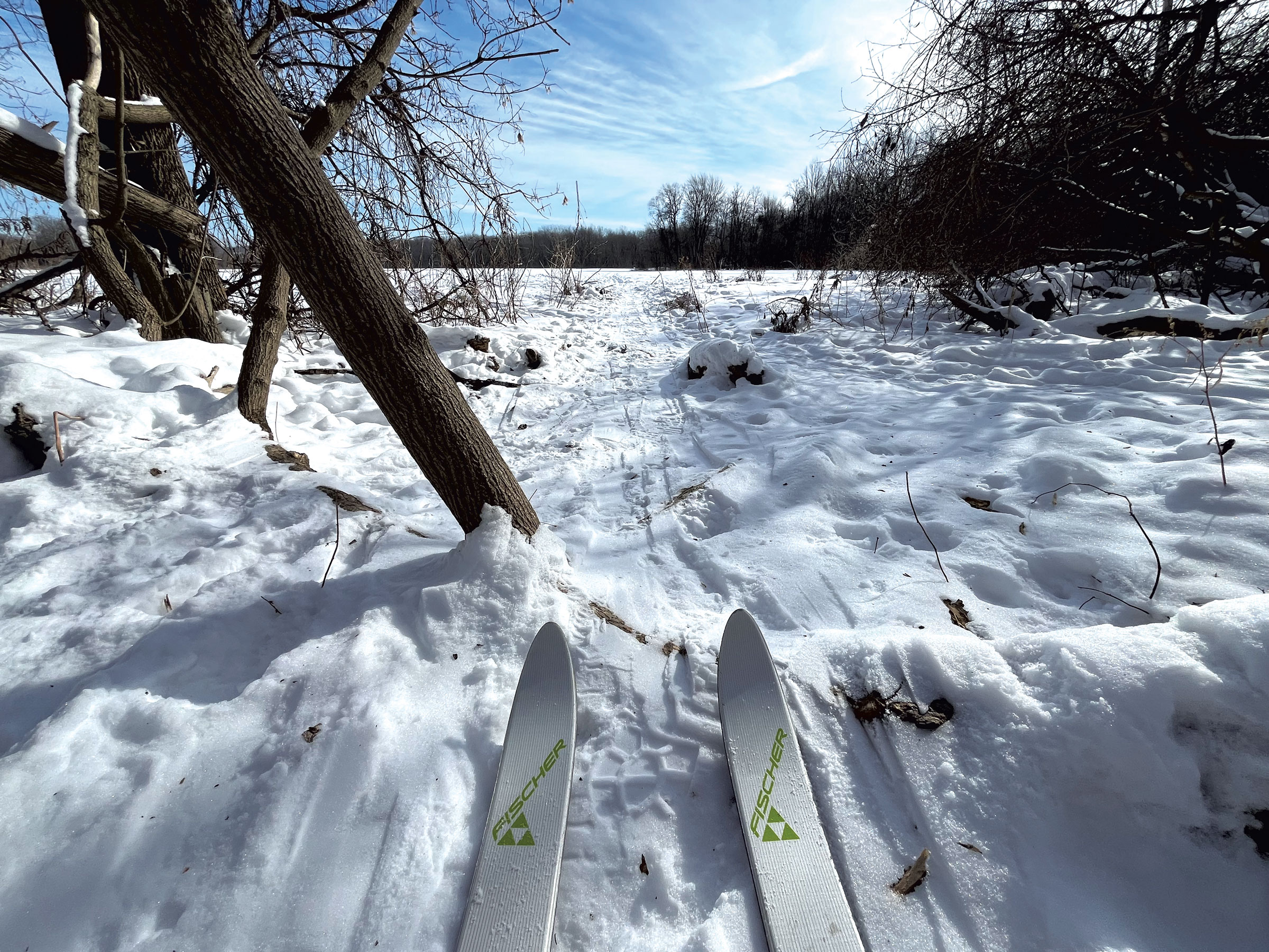 De l'éditeur : Jeux olympiques en fauteuil