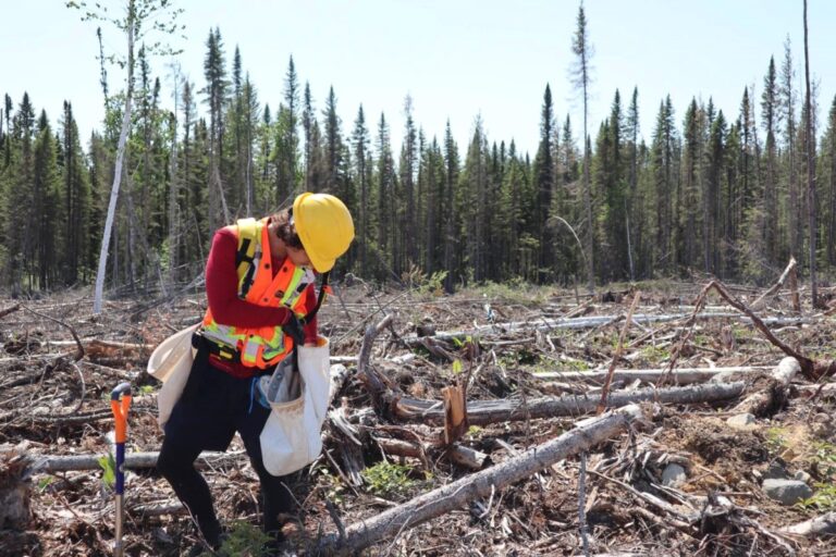 Le développement des ressources, une « arme à double tranchant pour les communautés autochtones » : panel